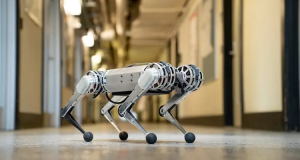 Робот-вратарь и краб-крот: Ученые создали два интересных робота