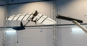 Швейцарские инженеры представили первого крылатого робота, который может как птица садиться на ветку