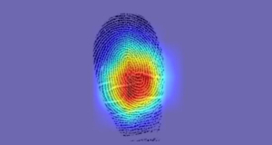 AI makes unexpected discovery: Fingerprints are not as unique as is commonly believed