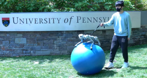 ИИ научил робота балансировать на мяче: Он учит робота лучше, чем человек