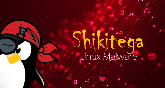New Shikitega malware for Linux seizes full control of infected system