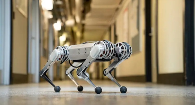 Robot goalkeeper and crab mole: Scientists create two interesting robots