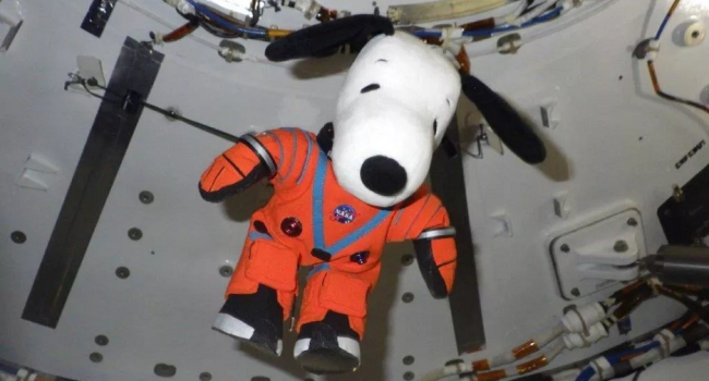 10 unexpected things that fly to moon as part of Artemis 1 mission