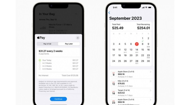 Новый сервис беспроцентной рассрочки Pay Later от Apple: Кому он доступен?