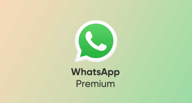 В WhatsApp могут появиться платные функции