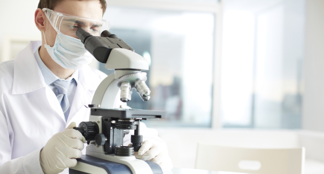 Russian scientists create neural network that recognizes images taken by microscope