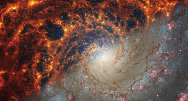 NASA showed 19 galaxies closest to us
