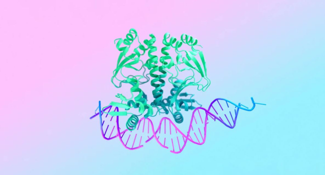 Google unveils AlphaFold 3 powerful neural network predicting protein structure: It is available to everyone