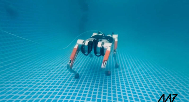 MAB Robotics demonstrates robot that walks under water: What will it be used for?