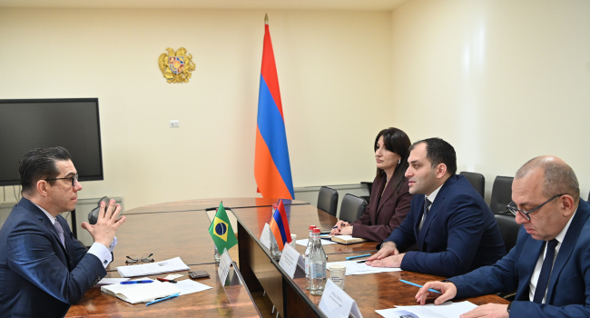 Բրազիլիան հետաքրքրված է տեխնոլոգիական ոլորտում ՀՀ-ի հետ համագործակցությամբ. ԲՏԱ փոխնախարարն ընդունել է դեսպանին