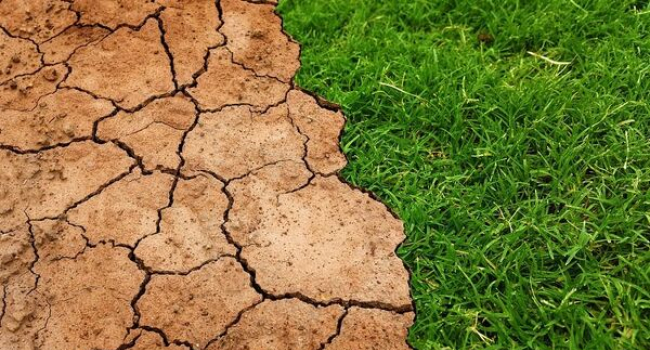 Climate catastrophe looms: Heatwaves and temperature swings threaten billions