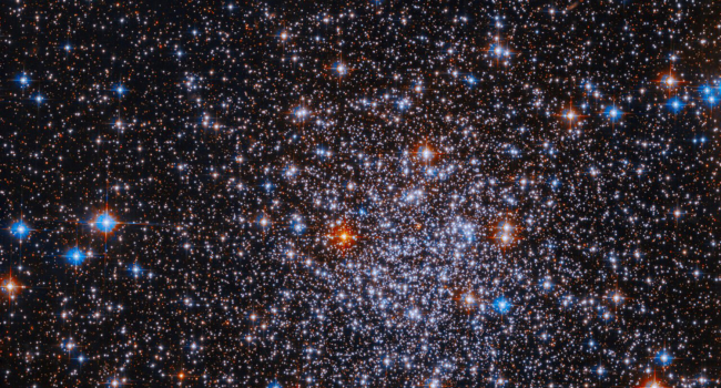 Hubble captures tens of thousands of stars in a single frame: Discovery of the Palomar 8 cluster