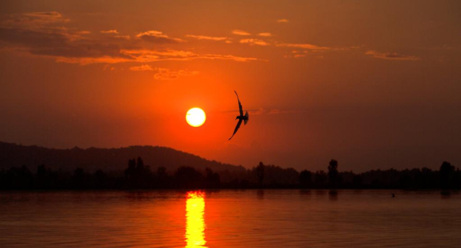 January 3, 2026: Earth at perihelion as the Sun appears largest of the year