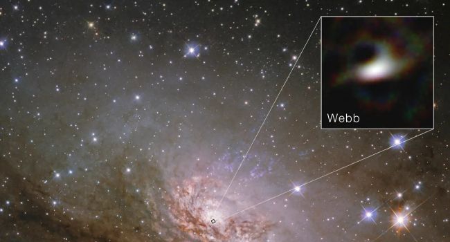 Hubble and James Webb show: Black holes are fed by dense disks, not winds