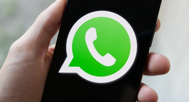 В WhatsApp появится отдельная папка для сообщений от компаний
