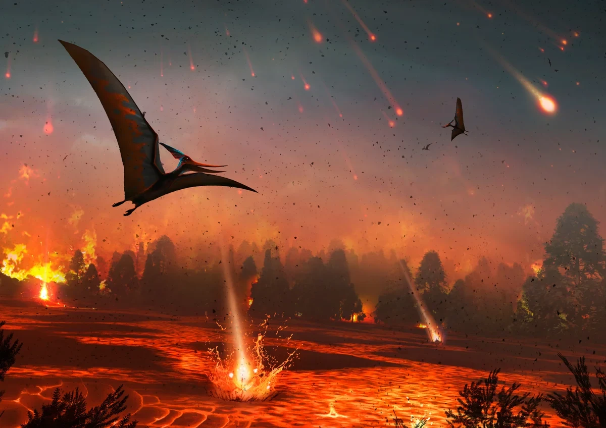 How did the ancestors of modern birds survive the asteroid impact? The answer was found in fossilized droppings
