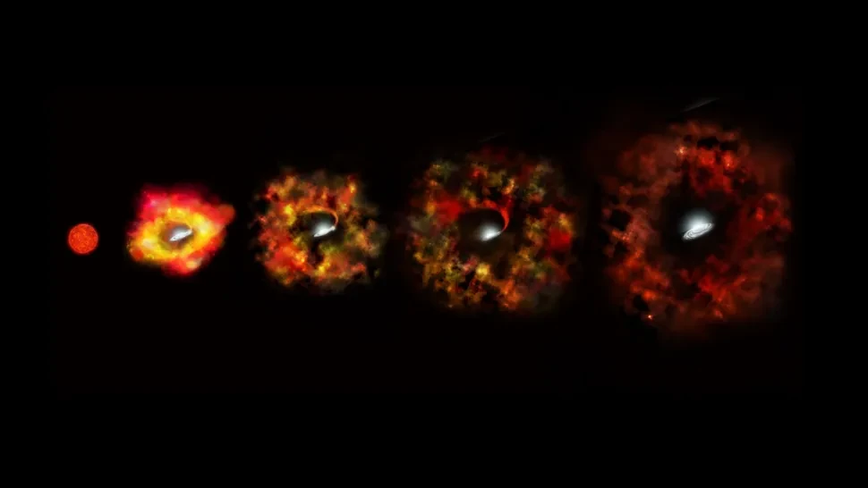 How neutrinos may determine which stars explode and which turn into black holes