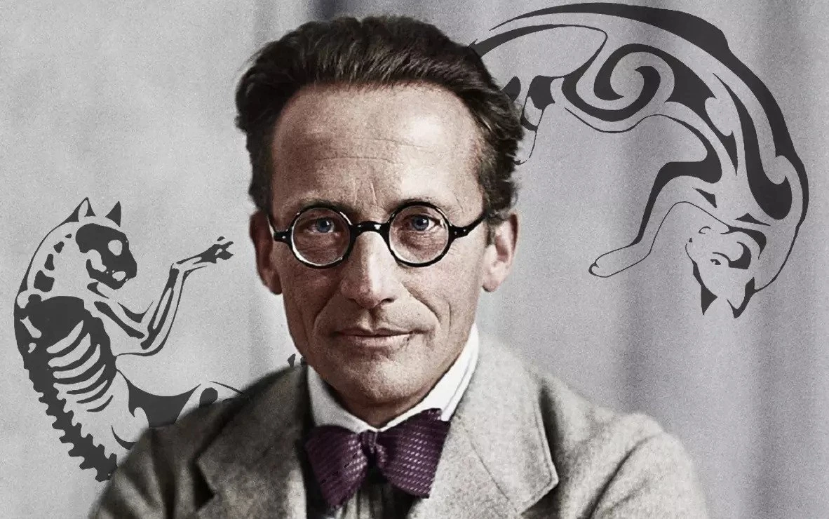 Lost Schrödinger manuscript showed that the physicist defended the possibility of determinism in the quantum world