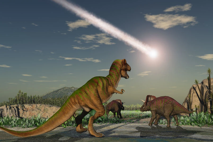 The asteroid that wiped out the dinosaurs may have helped ants conquer the world