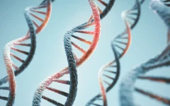 Anthropic’s lab made its first discovery: in 21 hours, Claude found a new enzyme complex similar to CRISPR