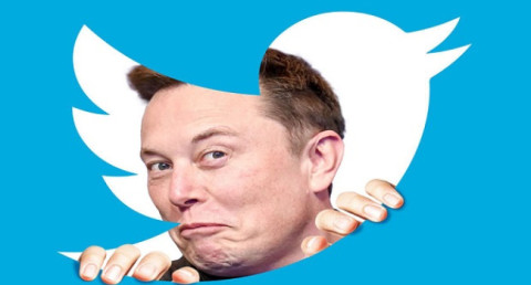 Илон Маск хочет уйти с поста главы Twitter? Он проводит опрос и обещает придерживаться его результатов