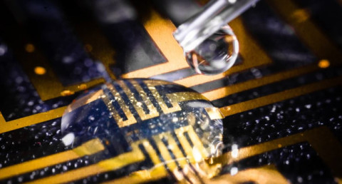 Swedish scientists create gel that allows electrodes to grow in living organism