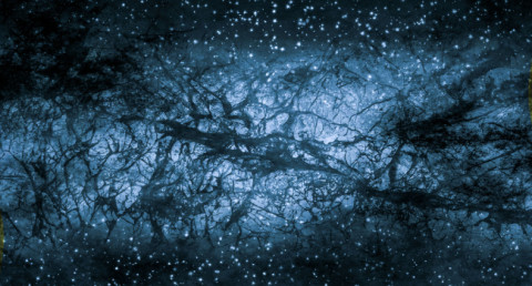 Ученые впервые обнаружили тёмную материю на "космической паутине"