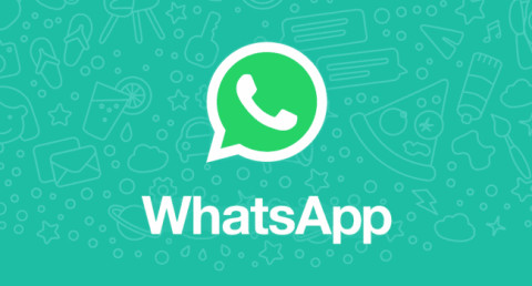 WhatsApp has new useful feature (photo)