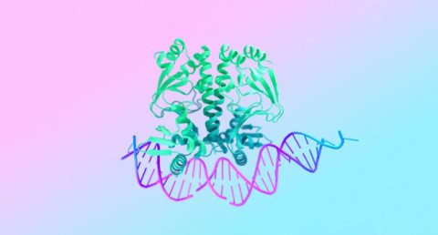 Google unveils AlphaFold 3 powerful neural network predicting protein structure: It is available to everyone