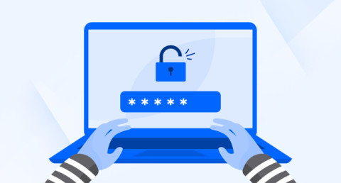 Опубликована крупнейшая база паролей в Интернете, насчитывающая 10 миллиардов паролей