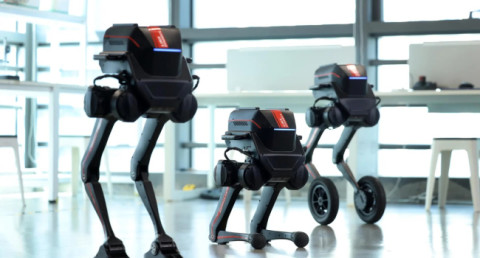 Chinese company creates modular bipedal robot: What is it for?