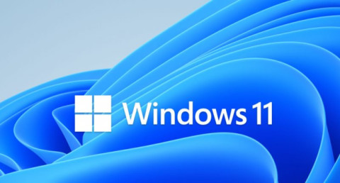 Windows 11's worldwide adoption has unexpectedly slowed down