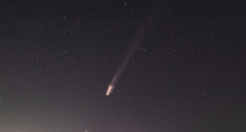 SpaceX вывела на орбиту первую группу Starlink для прямого подключения к телефонам