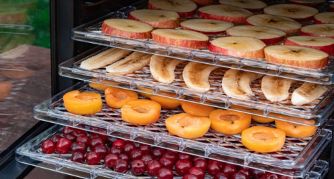 How to choose a dehydrator for vegetables, fruits, and mushrooms?