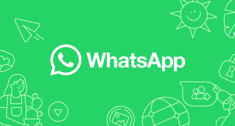 WhatsApp тестирует новую функцию для Android