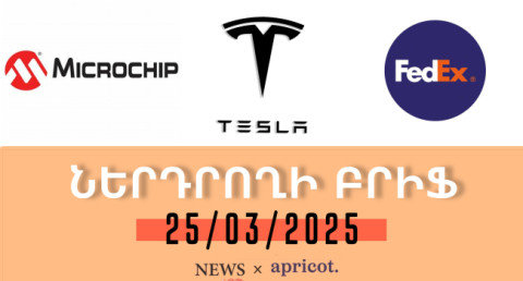 Investor’s Brief 25.03.25: Tesla shares drop 20% in a month