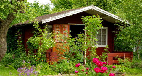 4 devices to boost comfort at your summer house: Automation and convenience