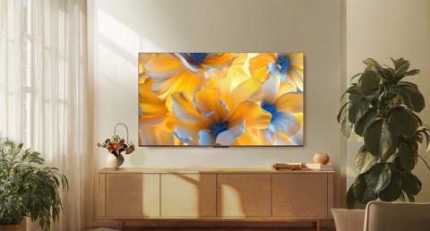 Perfect for movies and gaming: Top 3 budget-friendly TVs with smooth displays in 2025