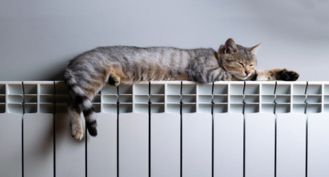 Scientists develop AI to save heat in urban networks