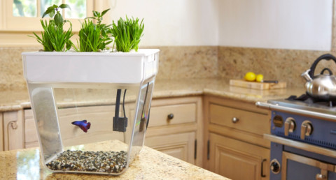 Five unusual gifts that are guaranteed to surprise