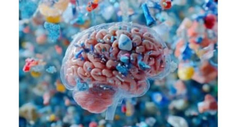 Study Finds Microplastics in Nearly All Samples of Living Human Brain Tissue