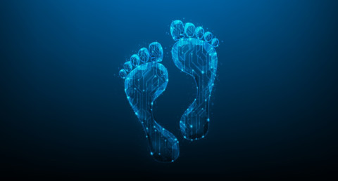 Digital footprint: what the internet knows about you and can you completely “erase yourself” online?