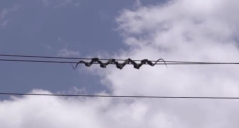In China, snake-like robots have begun inspecting power transmission lines