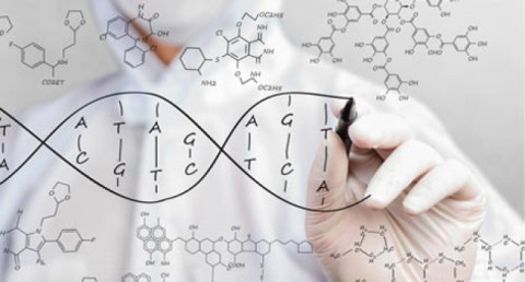 How Genetics Answers the Question of Armenian Origins