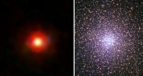 JWST's "Little Red Dots" may be precursors to globular clusters