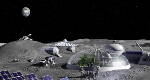 Scientists have learned to predict how muscles will adapt to lunar gravity