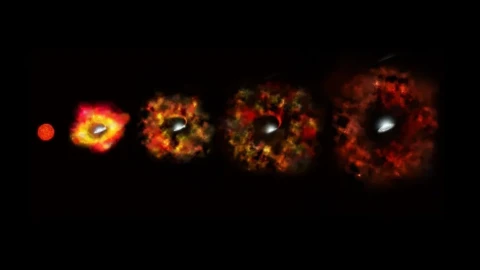 How neutrinos may determine which stars explode and which turn into black holes