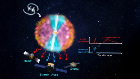 Einstein Probe telescope detects hidden phase of neutron star collision