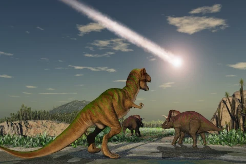The asteroid that wiped out the dinosaurs may have helped ants conquer the world