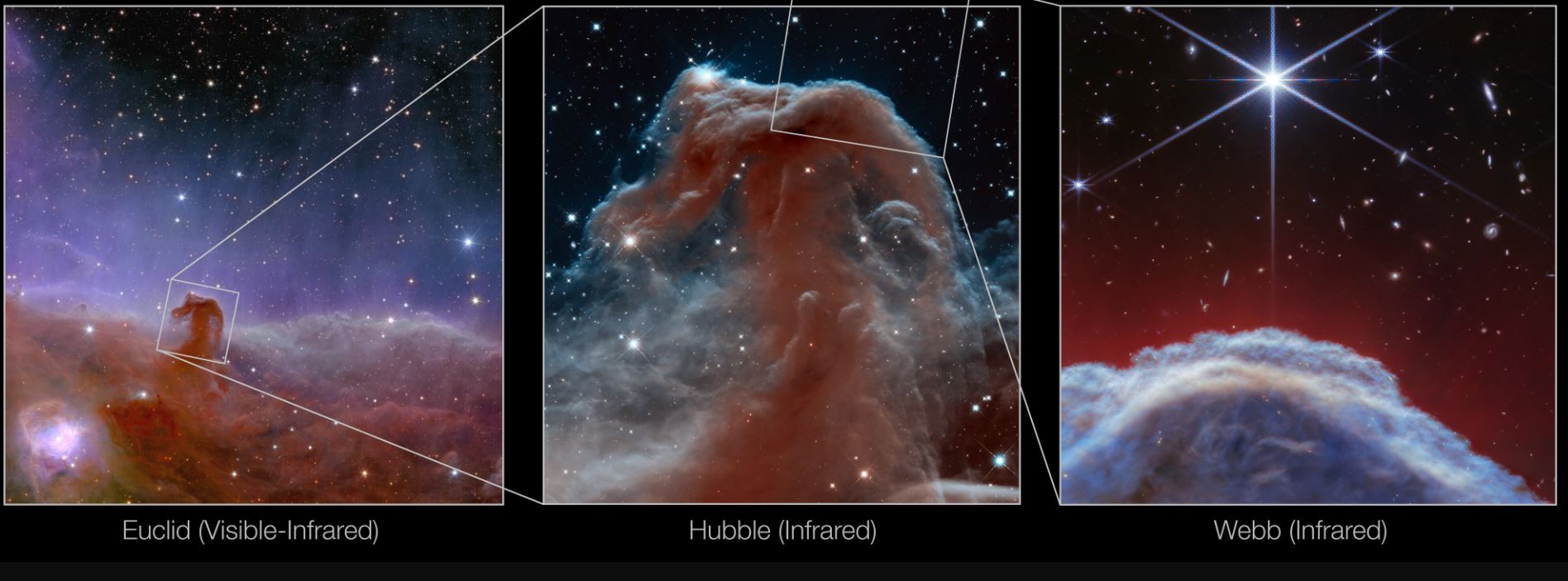 Horsehead nebula  2.JPG (149 KB)